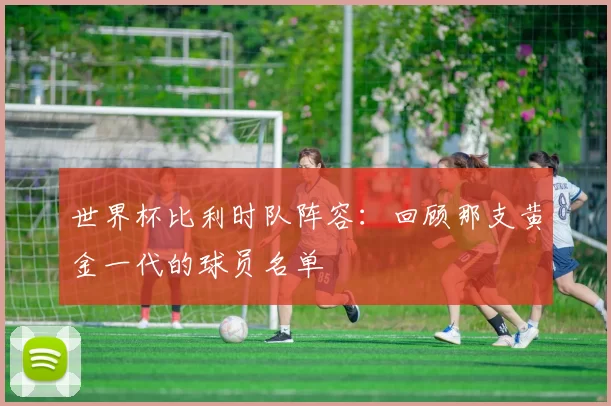 世界杯比利时队阵容:回顾那支黄金一代的球员名单