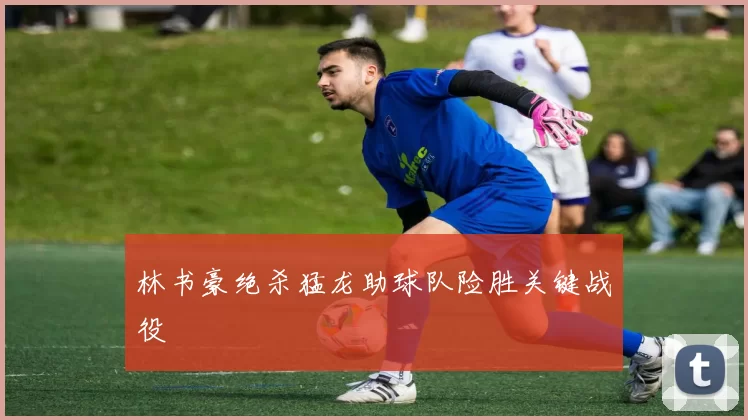 林书豪绝杀猛龙助球队险胜关键战役