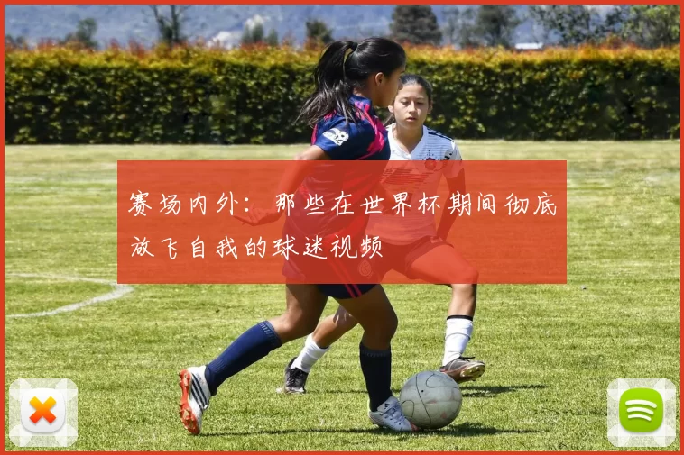 赛场内外:那些在世界杯期间彻底放飞自我的球迷视频