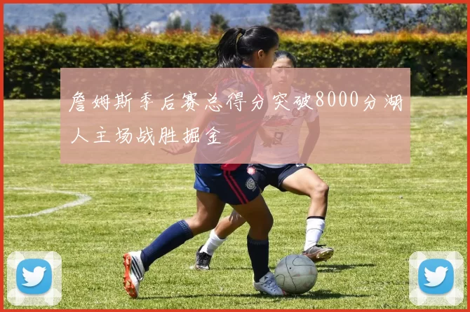 詹姆斯季后赛总得分突破8000分湖人主场战胜掘金