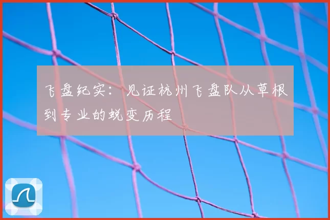 飞盘纪实：见证杭州飞盘队从草根到专业的蜕变历程