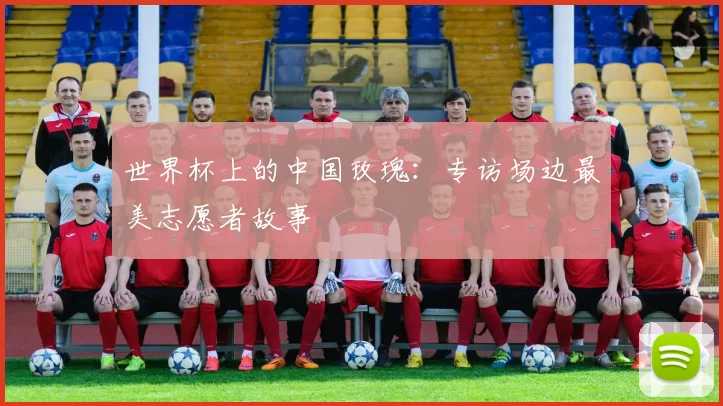 世界杯上的中国玫瑰：专访场边最美志愿者故事