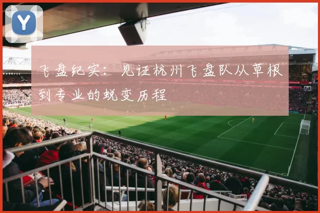 飞盘纪实：见证杭州飞盘队从草根到专业的蜕变历程