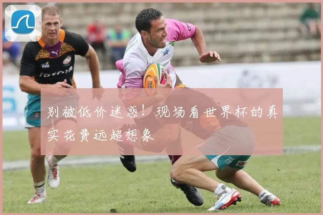 别被低价迷惑！现场看世界杯的真实花费远超想象