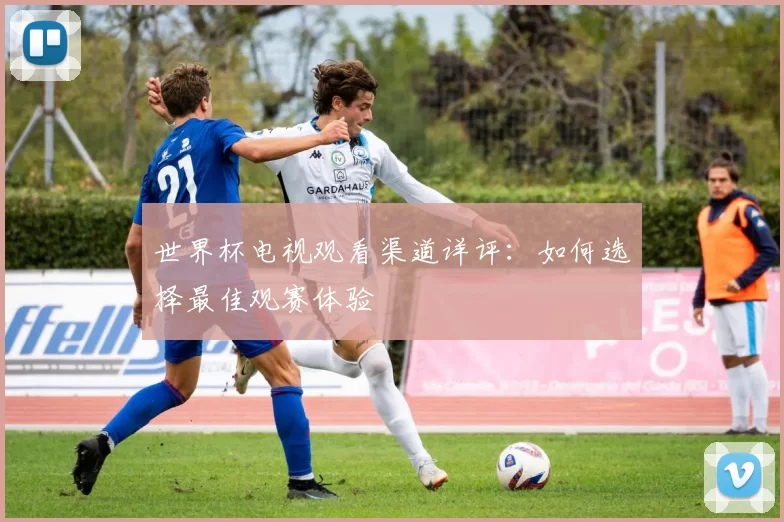 世界杯电视观看渠道详评：如何选择最佳观赛体验