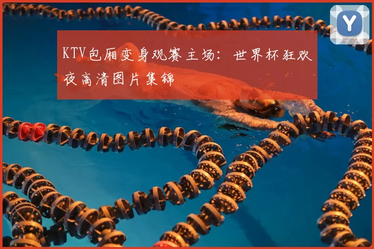 KTV包厢变身观赛主场：世界杯狂欢夜高清图片集锦