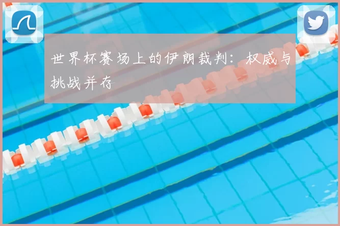 世界杯赛场上的伊朗裁判：权威与挑战并存