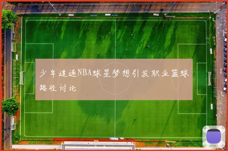 少年追逐NBA球星梦想引发职业篮球路径讨论