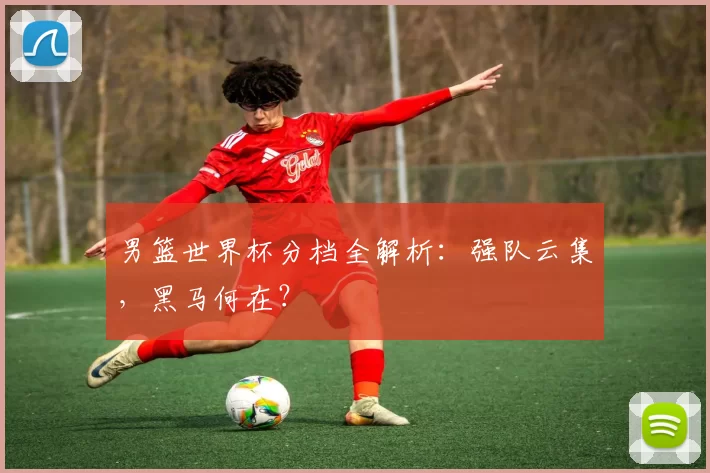 男篮世界杯分档全解析：强队云集，黑马何在？