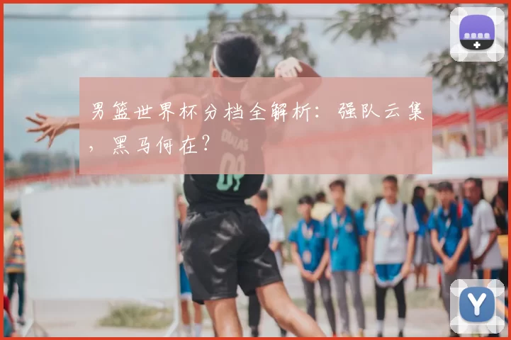 男篮世界杯分档全解析：强队云集，黑马何在？