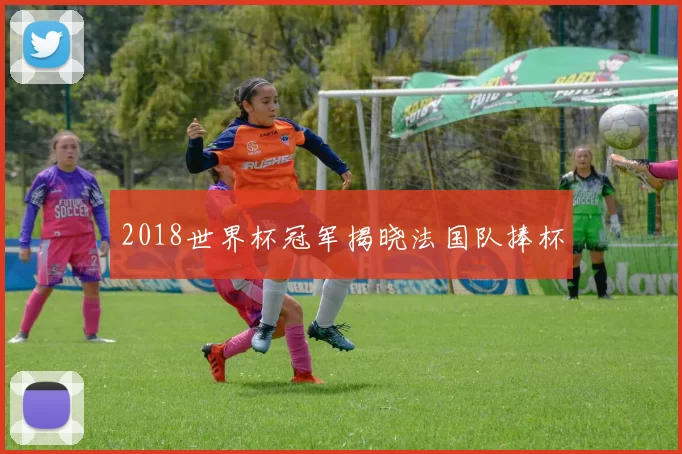 2018世界杯冠军揭晓法国队捧杯