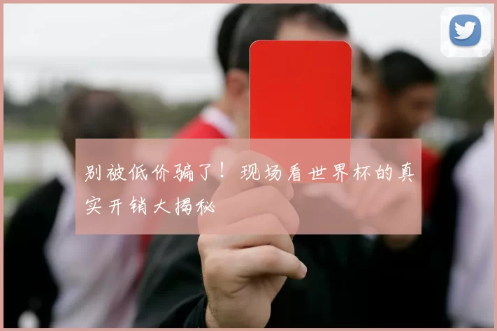 别被低价骗了！现场看世界杯的真实开销大揭秘