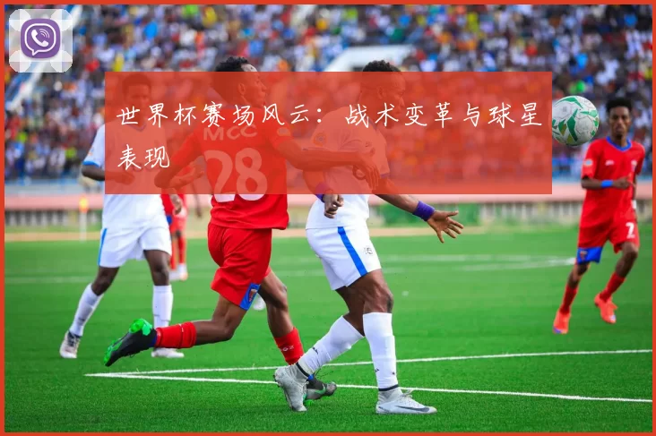 世界杯赛场风云：战术变革与球星表现